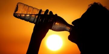 Una pareja encuentra más de 2.000 monedas con 1.000 años de antigüedad