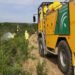 Vejer: Declarado un incendio forestal