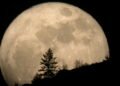 La última superluna de 2020 se podrá ver en mayo