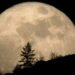 La última superluna de 2020 se podrá ver en mayo