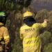 Incendio en el paraje Cortijo la Joya de Algeciras