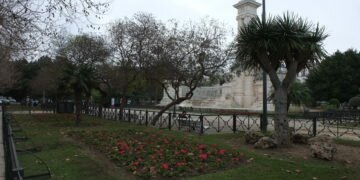 Preocupación en AGADEN-ECOLOGISTA por la remodelación de la plaza España