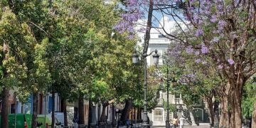 El Equipo de Gobierno ofrece colaboración la Junta para iniciar cuanto antes la obra en Mina ante la situación «insostenible» del centro de salud del Mentidero