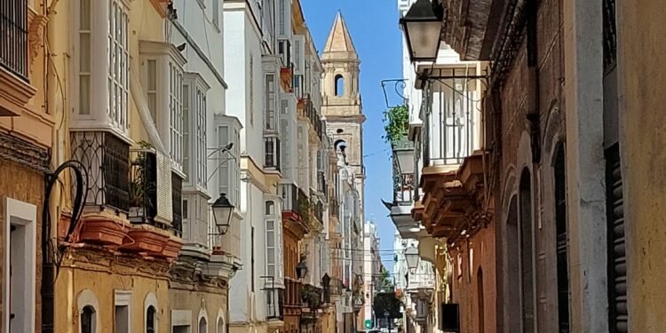 El Observatorio Municipal de la Vivienda constata una revitalización de las construcciones públicas y privadas