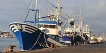 El Gobierno de España dará prioridad a las cuotas de merluza sur y la pesca en Mediterráneo