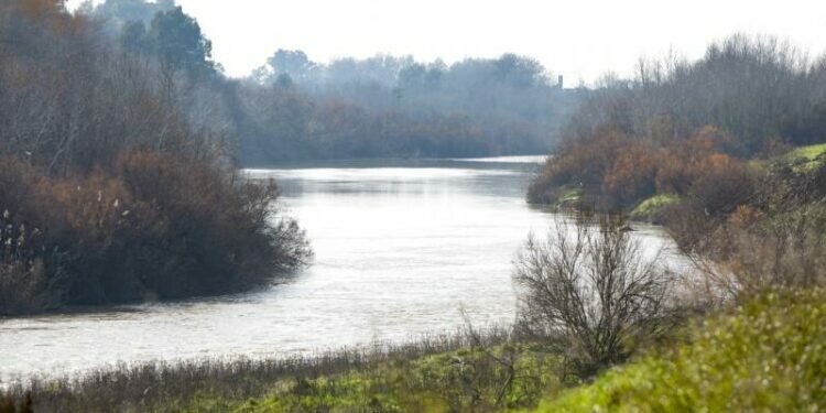 Encuentran el cadáver de una mujer que llevaba desaparecida varios meses en el río Guadalquivir