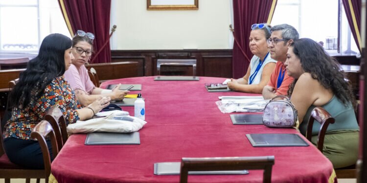 El Ayuntamiento de Cádiz y la Flampa avanzan en los nuevos proyectos para el inicio del curso escolar