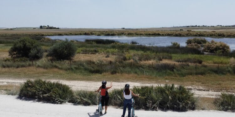 Medio Ambiente organiza una nueva ruta en bici: Lagunas de El Puerto bajo las estrellas