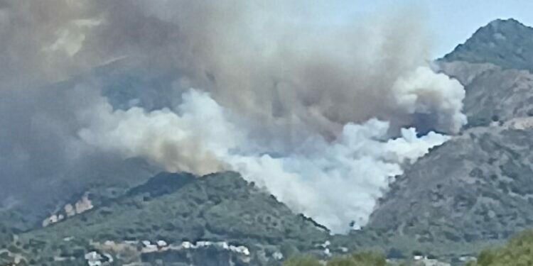 Gran incendio en El Higuerón de Mijas