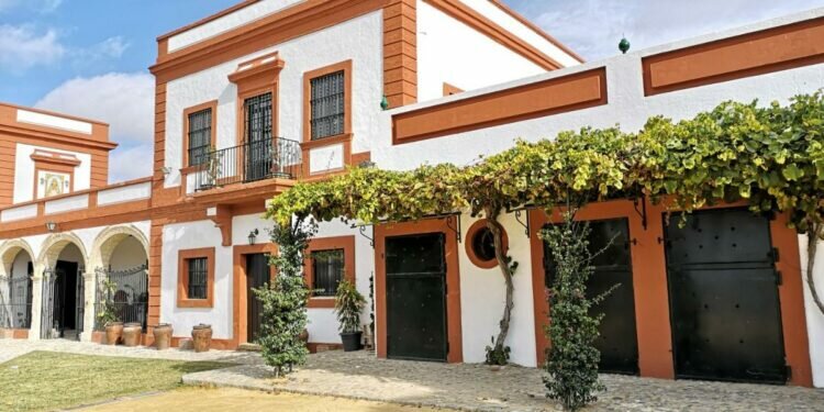 El Puerto: La Bendita Locura nos propone sumarnos a su vendimia en Pago Bilbaína Alta, para poner en valor una tradición muy de la tierra