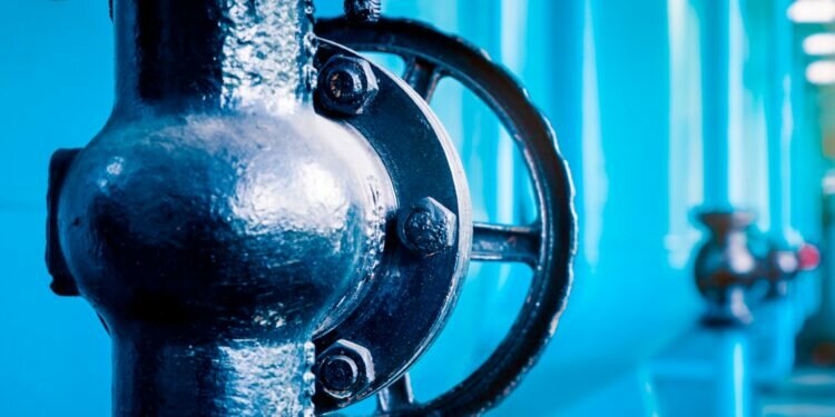 Puerto Real: GEN presenta solicitud de ayudas para dos proyectos de investigación en el marco de la iniciativa Puerto Real +Ciudad