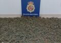 La Policía Nacional desmantela un secadero de marihuana en Sanlúcar de Barrameda