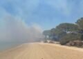 Incendio en el parque natural del Rio San Pedro