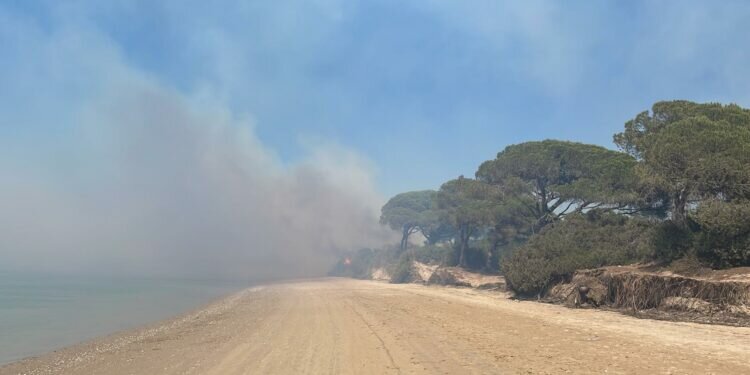 Incendio en el parque natural del Rio San Pedro