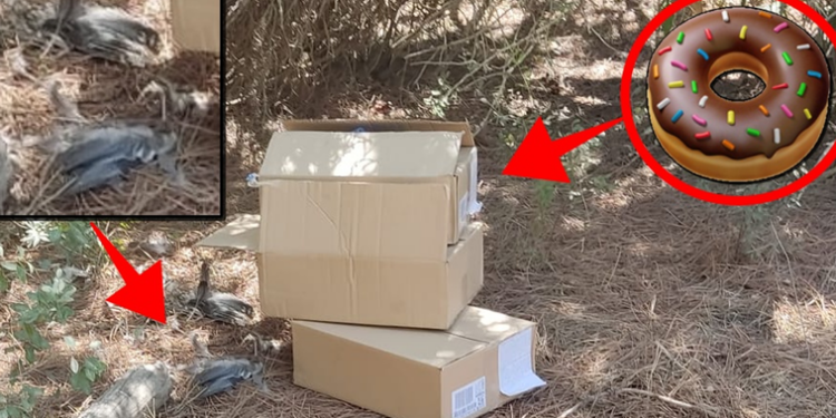 La Policía Local de Rota alerta sobre la venta ambulante en las playas de Cádiz