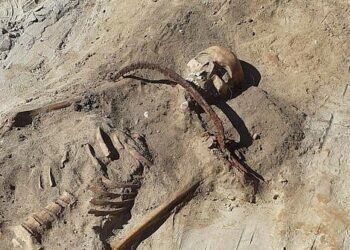 Hallan en Polonia la tumba de una mujer ‘vampiro’ con una hoz en el cuello