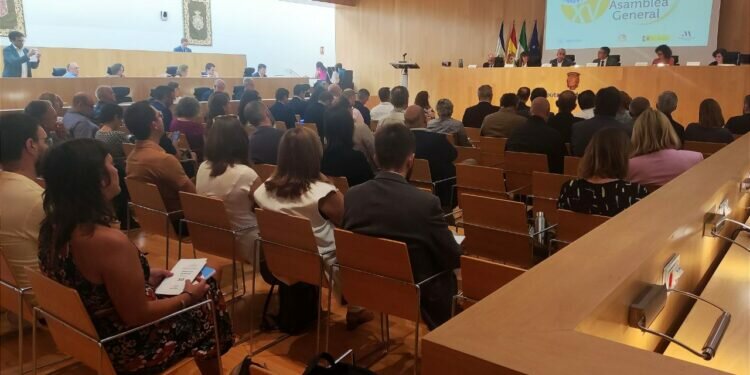El Ayuntamiento de Cádiz participa en la XV Asamblea General de la Red de Ciudades por el Clima