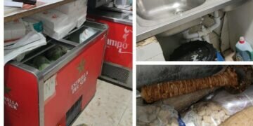 Chipiona: La Policía Local cierra un bar lleno de cucarachas y alimentos podridos