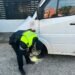 Algeciras: El 84% de las furgonetas controladas por la Policía Local cumplían con la normativa vigente  