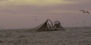 La Junta aumenta las ayudas por la parada adicional de la pesca de cerco del Golfo de Cádiz durante el mes de febrero
