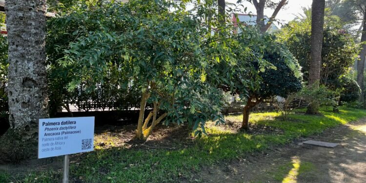 El Ayuntamiento de Cádiz, renueva toda la cartelería botánica del Parque Genovés