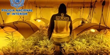 Algeciras: La Policía Nacional detiene en a cuatro miembros de organización criminal especializada en la introducción de hachís