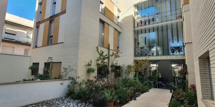 Chiclana: La Junta de Gobierno Local aprueba la licitación para el proyecto de rehabilitación de las zonas comunes en las calles Azalea y Gardenia